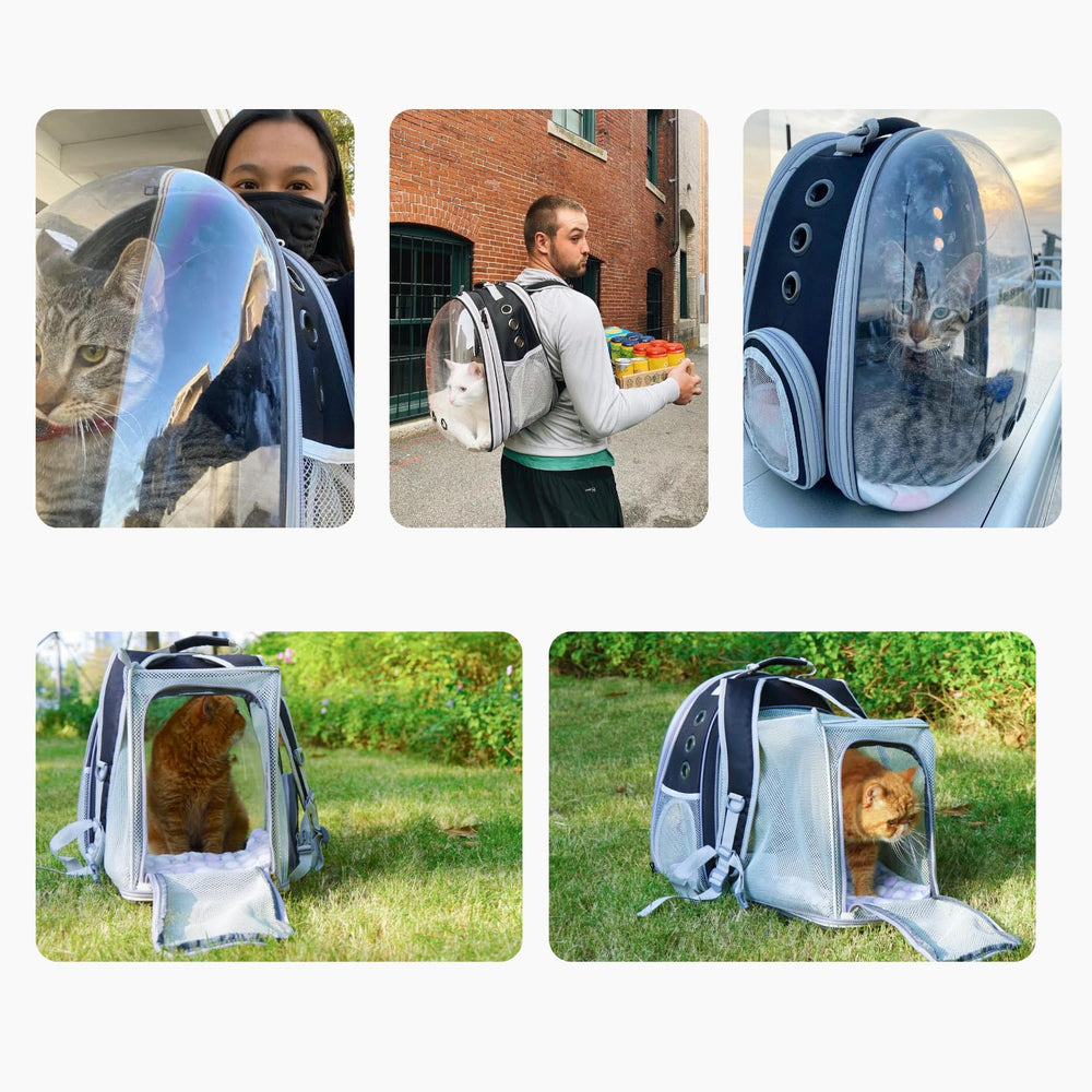 LOLLIMEOW hard shell top provides added protection during transport