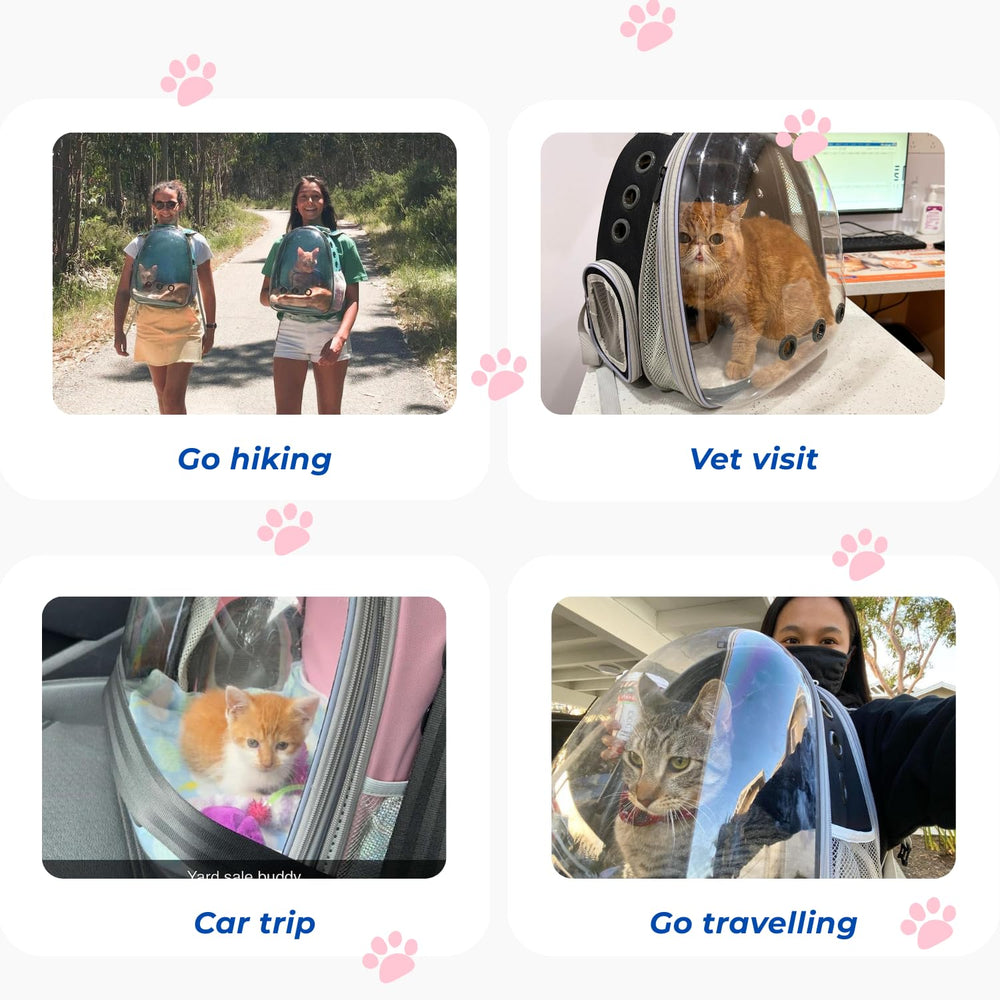 LOLLIMEOW carrier supports pets up to 16 pounds.