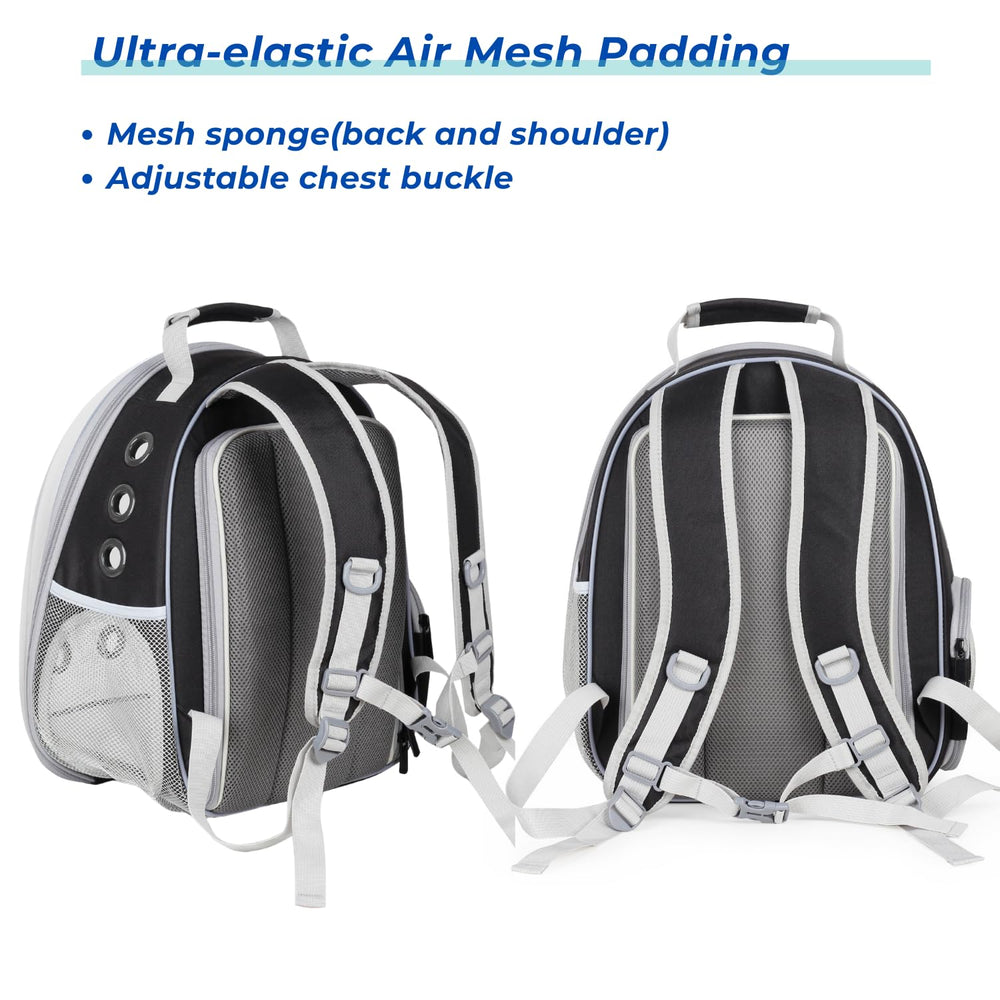 LOLLIMEOW travel backpack in use with a pet on outdoor adventure