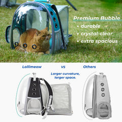 LOLLIMEOW ventilation system with mesh panels for comfortable airflow