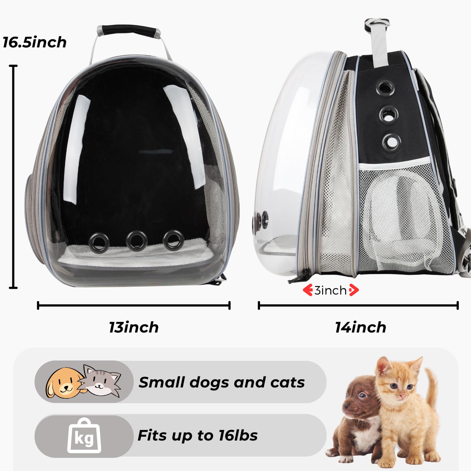 LOLLIMEOW XL-size carrier fits cats and small dogs up to 16 lbs.