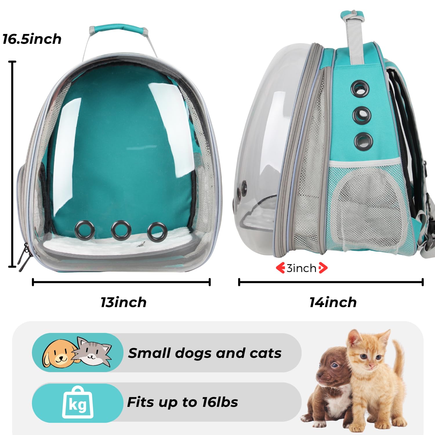Lollimeow XL expandable carrier fits small dogs up to 16 lbs.