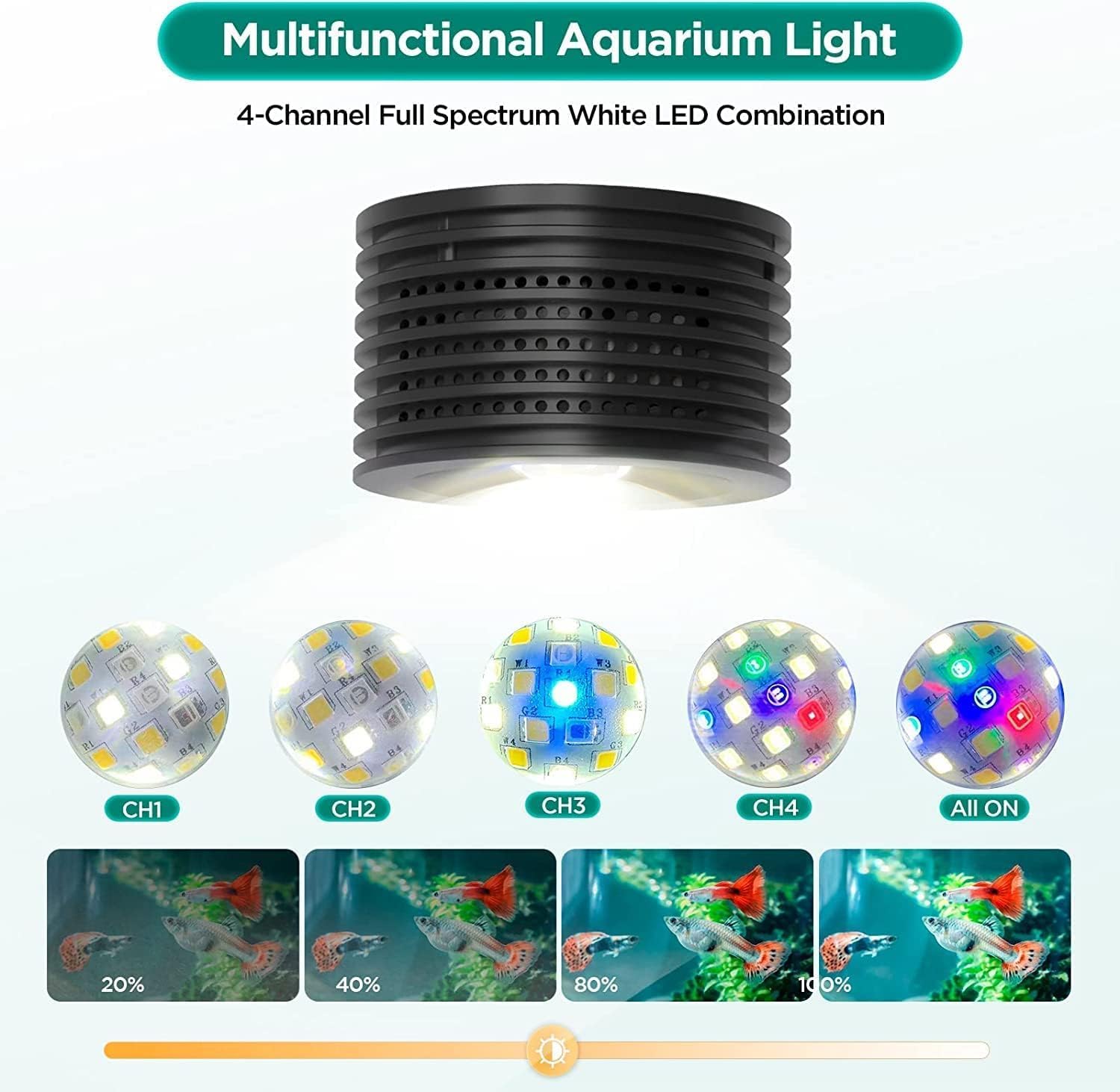 Lominie planted-nano light supports healthy growth and color in freshwater tanks