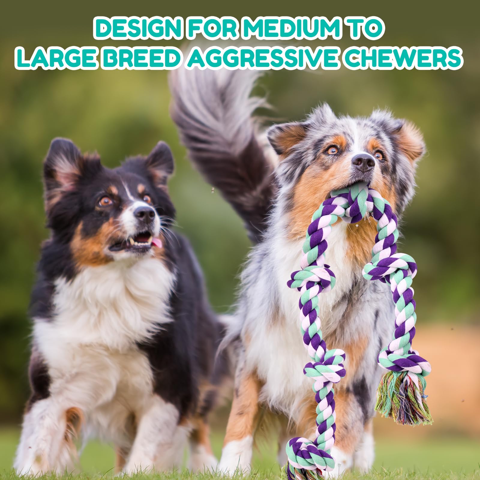 Loncoldy heavy-duty rope toy supports medium to large breeds