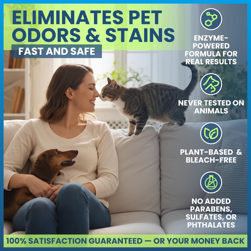 Loncomay enzyme cleaner spray application shows deep stain removal and ongoing odor control.