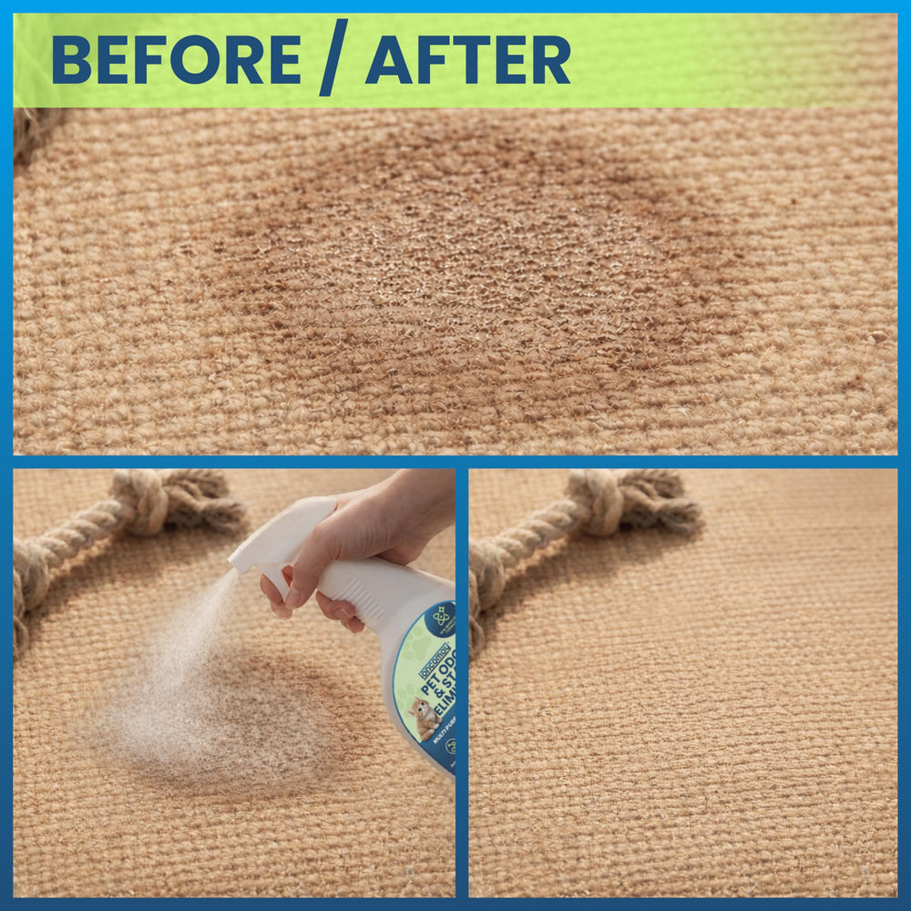 Loncomay spray bottle close-up highlights enzyme action breaking down messes.