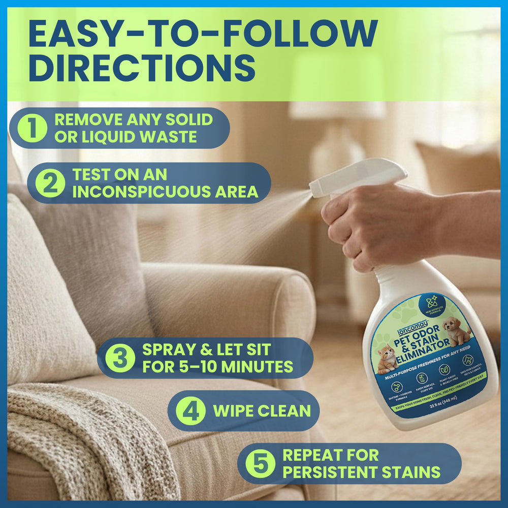Loncomay multi-surface cleaner demonstrates versatile cleaning for living spaces.
