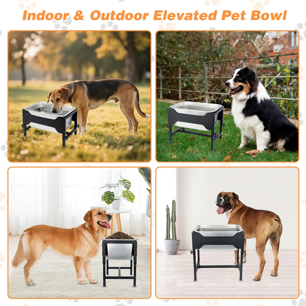 Lonepetu dog drinking from elevated bowl with comfortable posture.