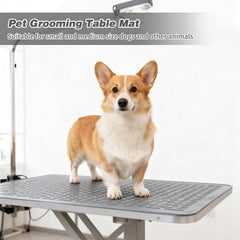 Lonepetu dog relaxed during grooming on cushioned non-slip mat.