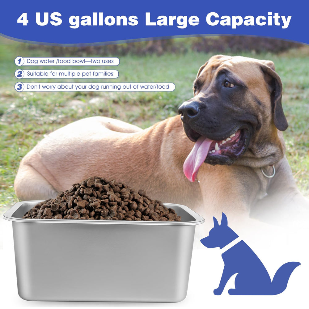 Lonepetu large food and water bowl with widened rectangular base