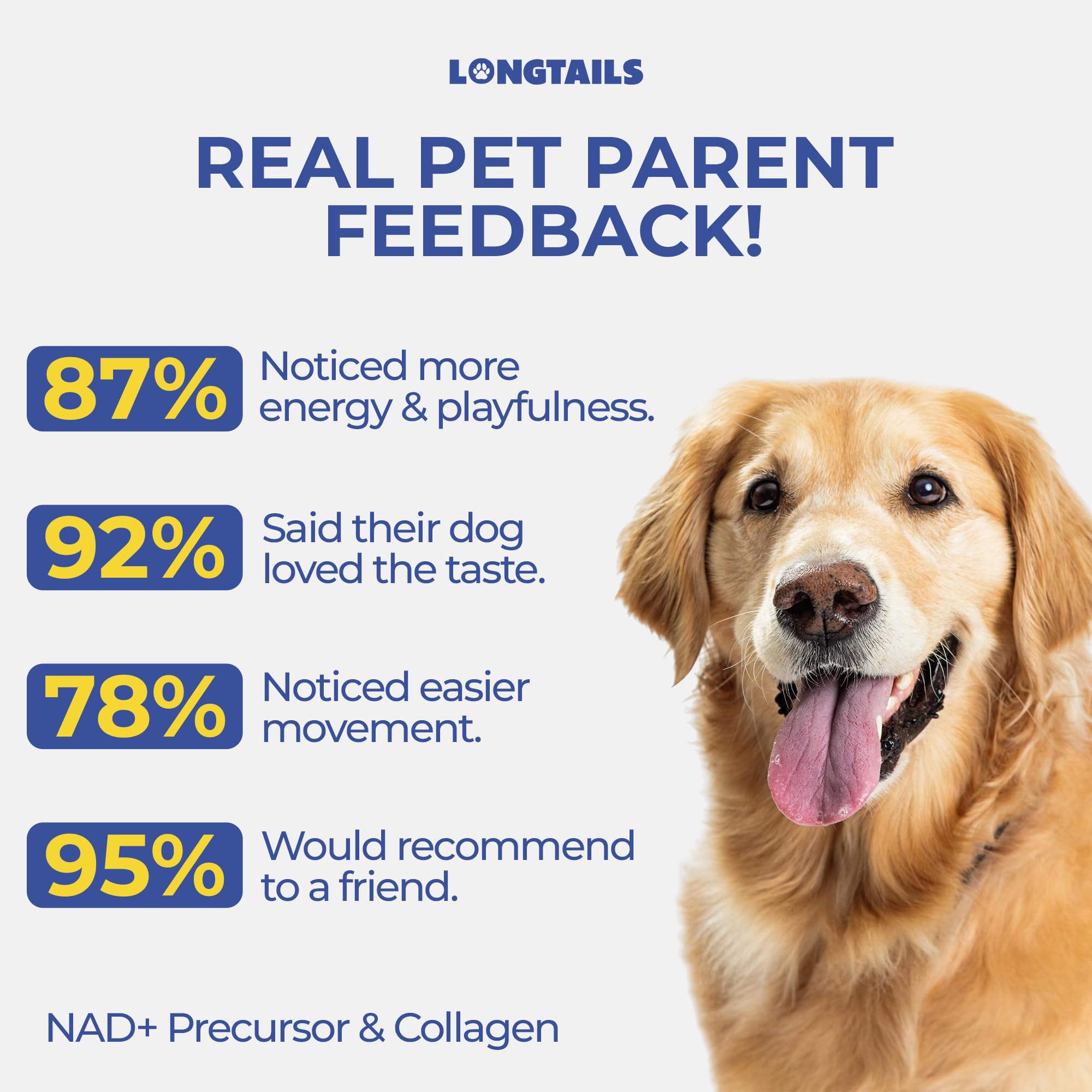 LongTails collagen dog skin coat boost tub highlights skin elasticity and coat shine.