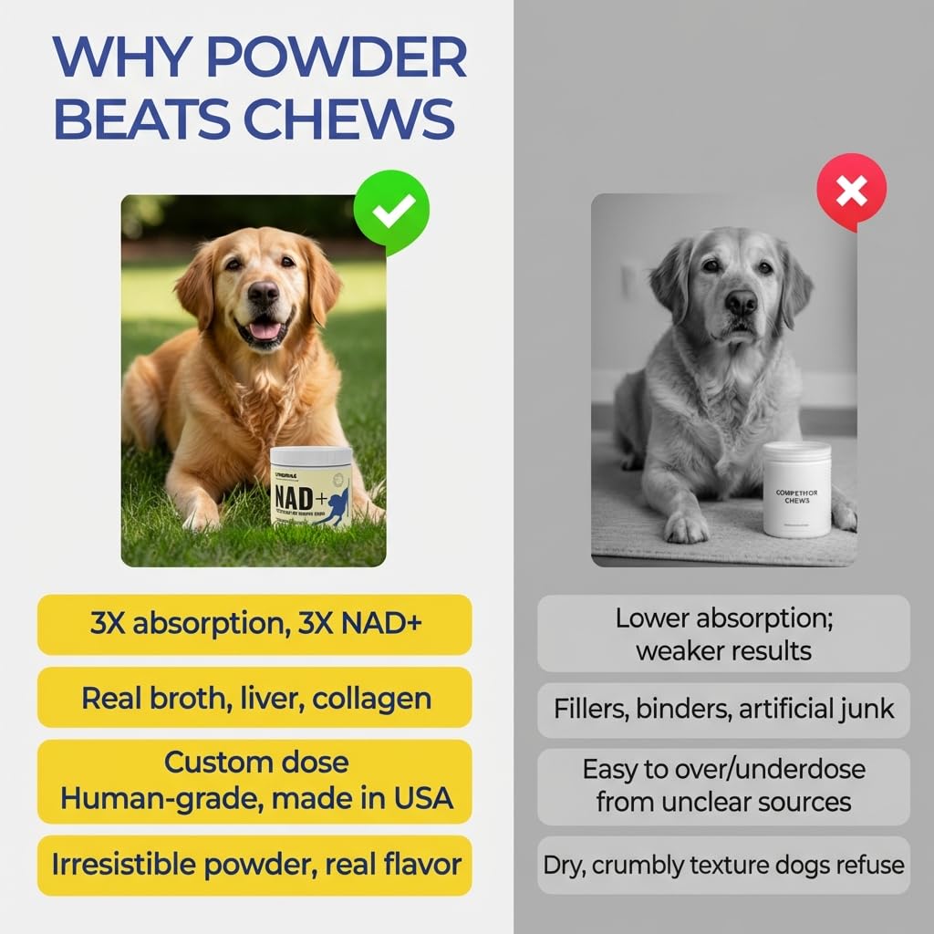 LongTails NAD+ senior dog powder label displays ingredients and usage for seniors.