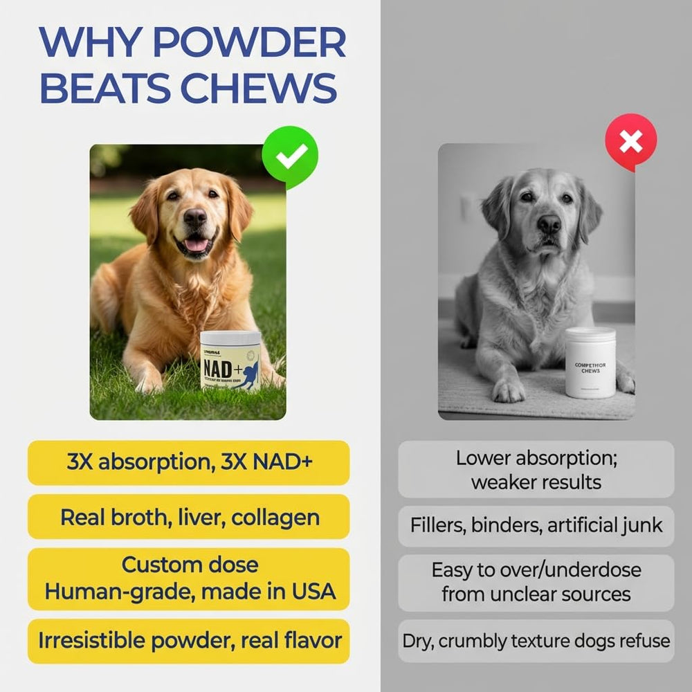 LongTails NAD+ senior dog powder label displays ingredients and usage for seniors.
