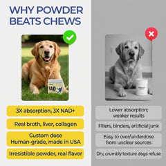 LongTails NAD+ senior dog powder label displays ingredients and usage for seniors.