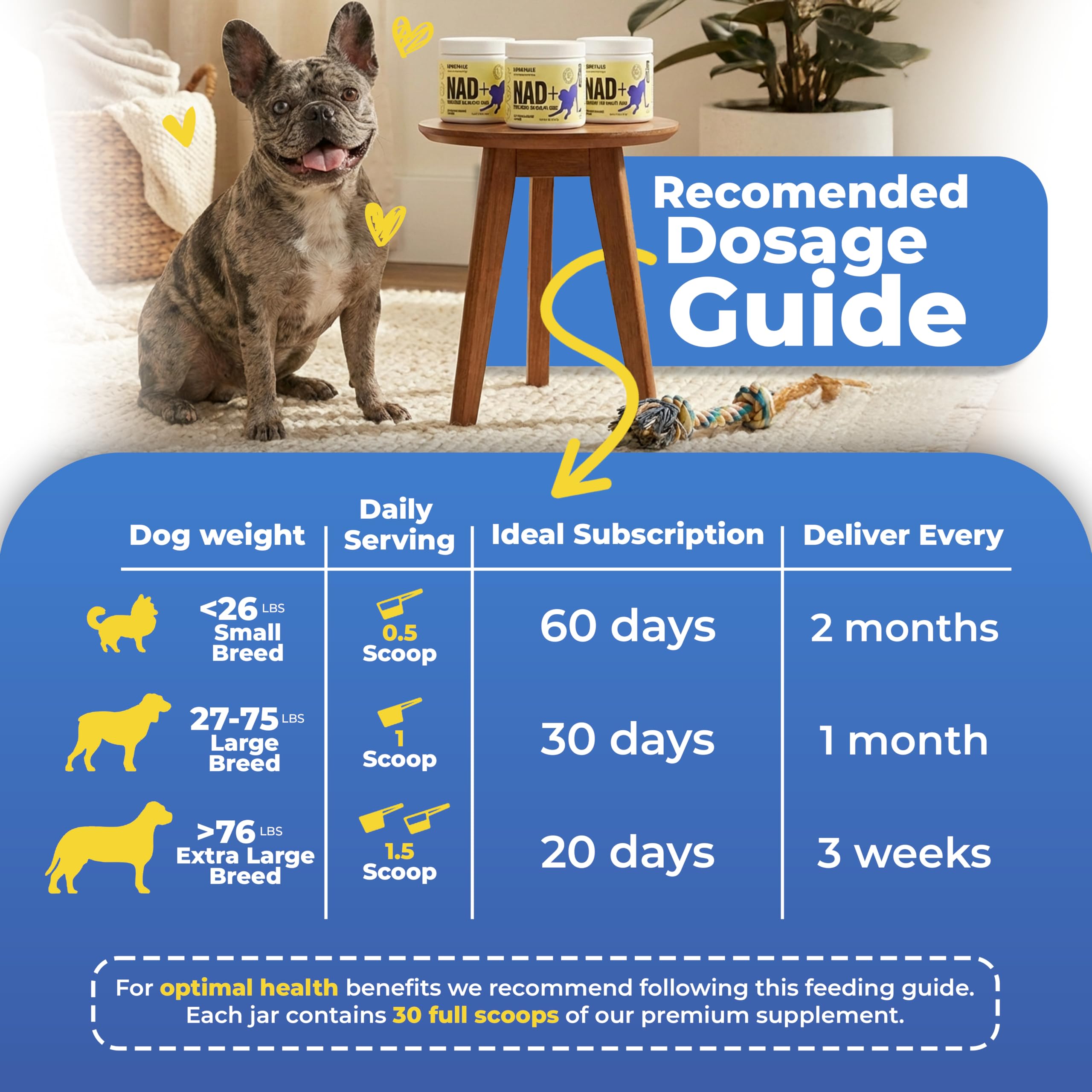 LongTails senior dog multivitamin pack label communicates comprehensive daily nutrition for seniors.