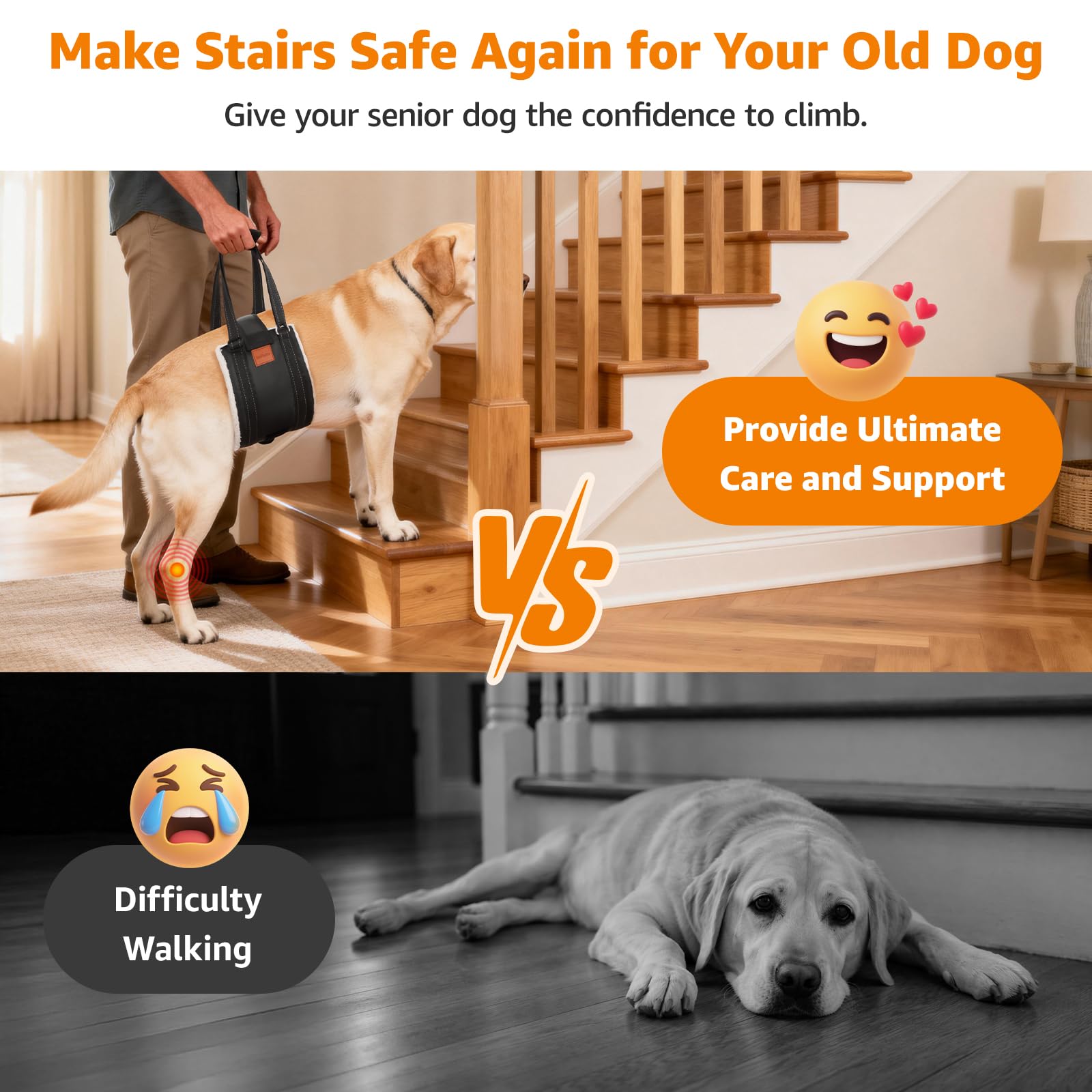 LOOBANI adjustable rear harness anchors safety on stairs and car transfers