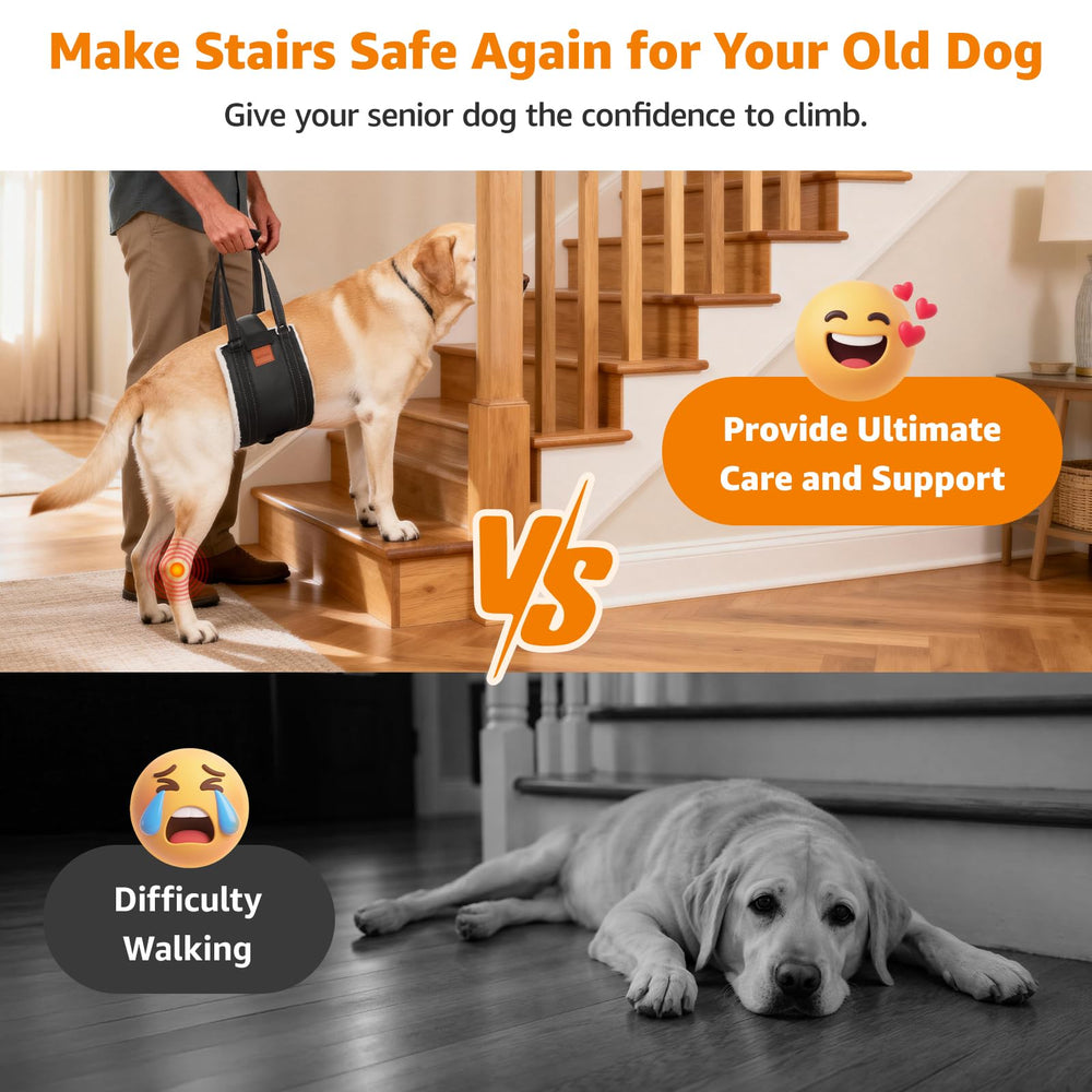 LOOBANI adjustable rear harness anchors safety on stairs and car transfers