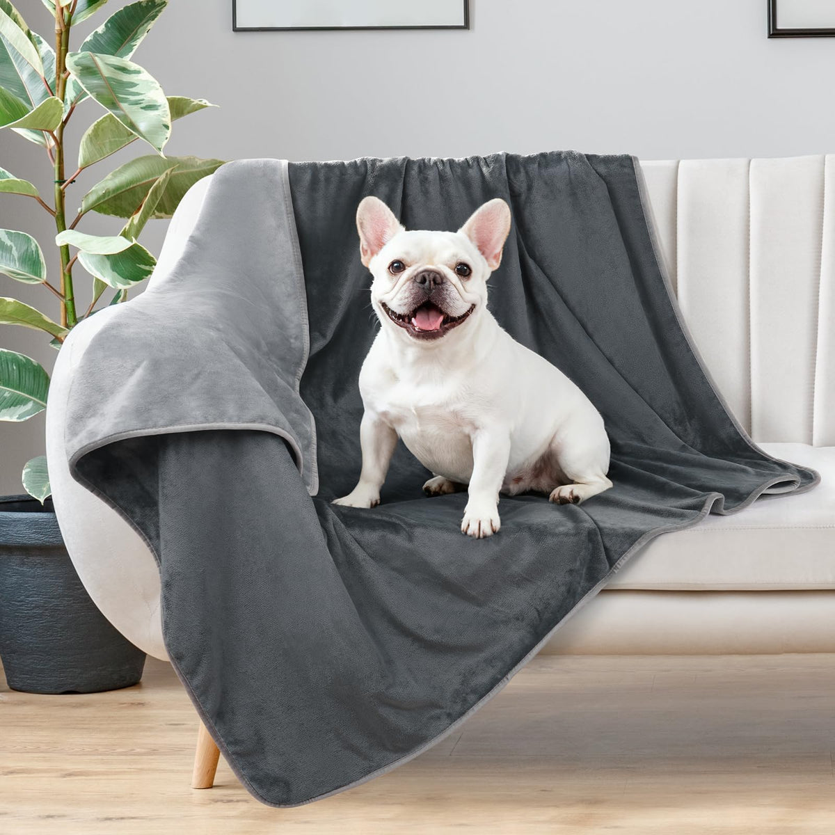 LOOBANI dog blanket with soft flannel for cozy lounging on a sofa
