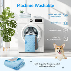 LOOBANI cooling mat on the floor provides cooling relief during playtime.