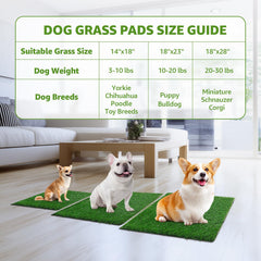 LOOBANI pad backing highlights rapid drainage for cleaner floors and drier paws