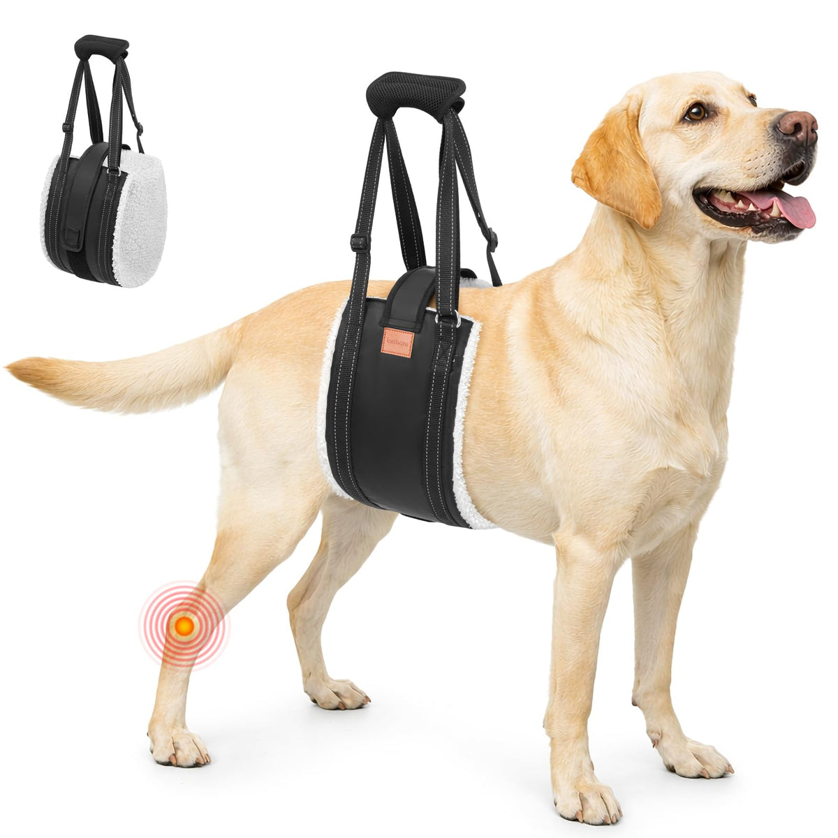 LOOBANI dog lift harness back leg supports stairs for safer ascent