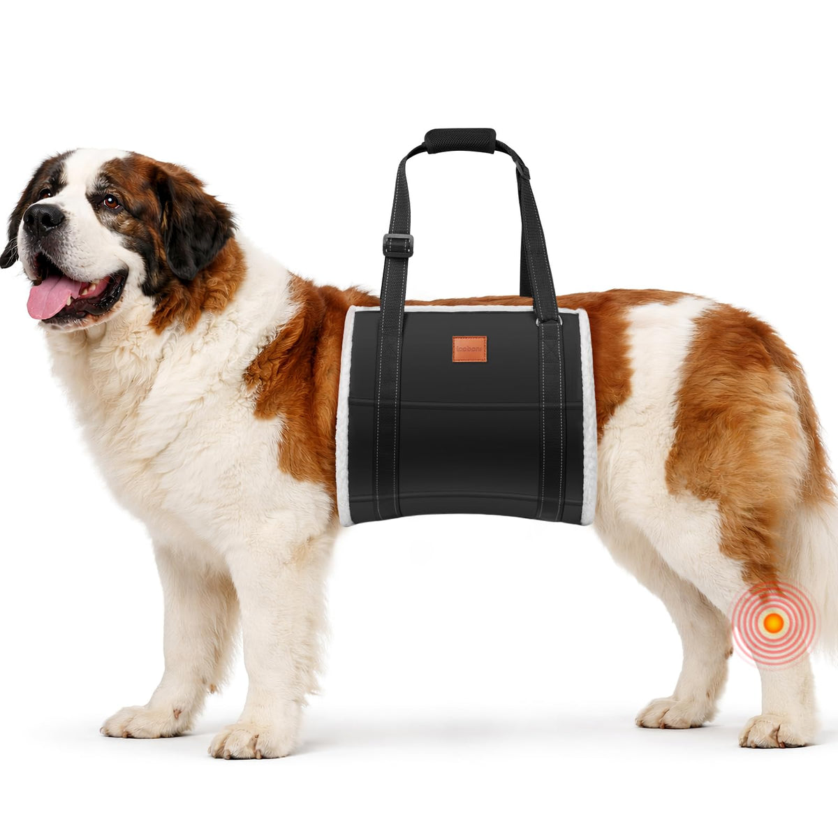 LOOBANI dog sling hind-leg support helps aging dogs stand with ease.