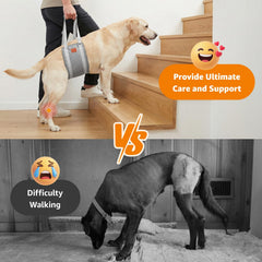 LOOBANI dog sling with soft lining enhances comfort for elderly dogs.