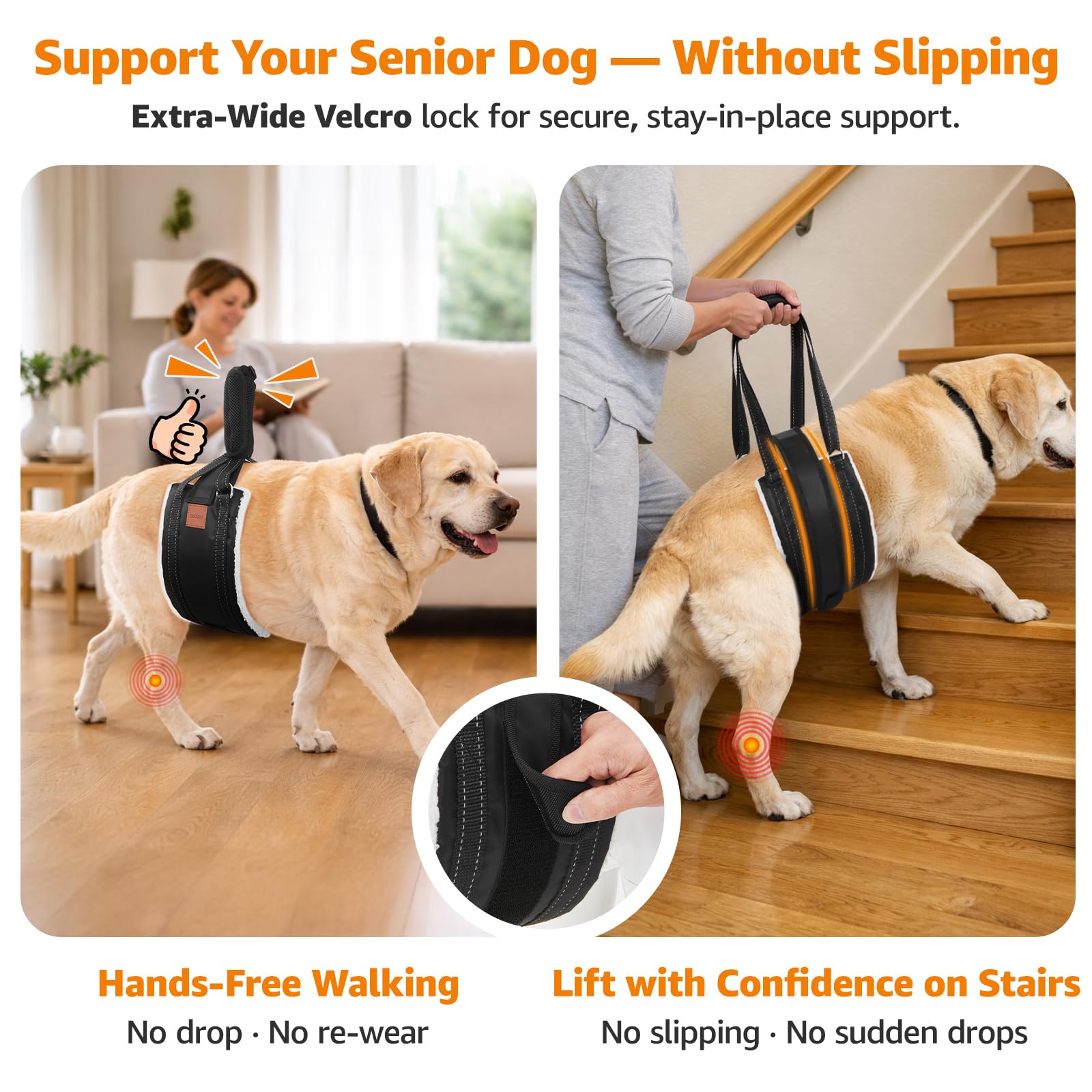 LOOBANI dog sling support rear-end aids standing after rest and recovery