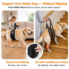 LOOBANI dog sling support rear-end aids standing after rest and recovery