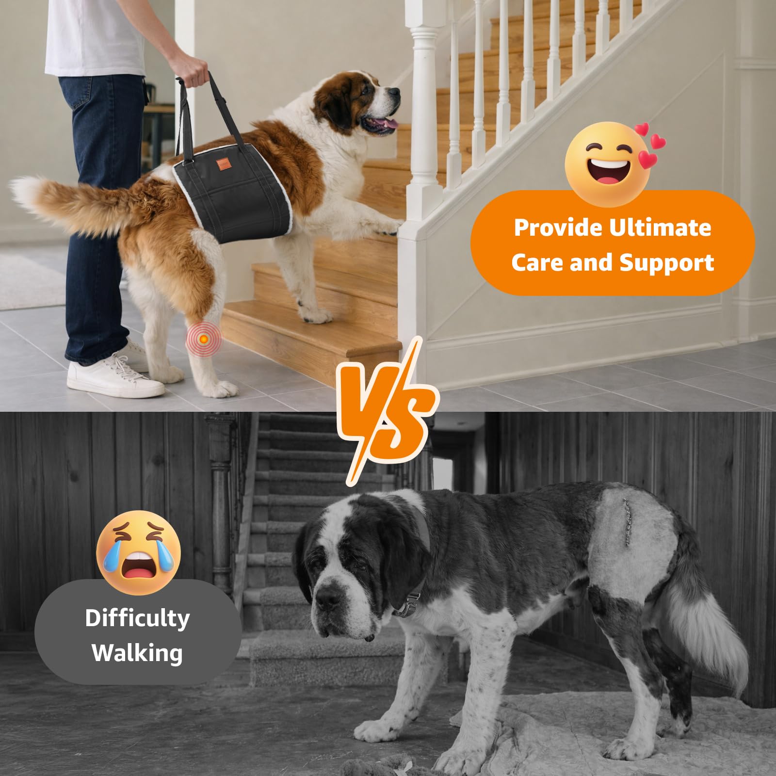 LOOBANI dog sling vehicle-entry supports easy car access.