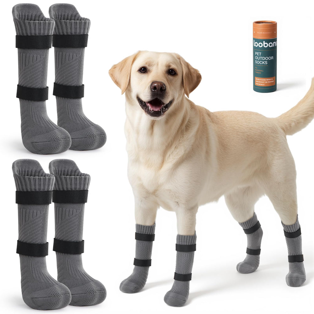 LOOBANI dog socks outdoor-nylon-outer-layer protect paws on rugged trails.