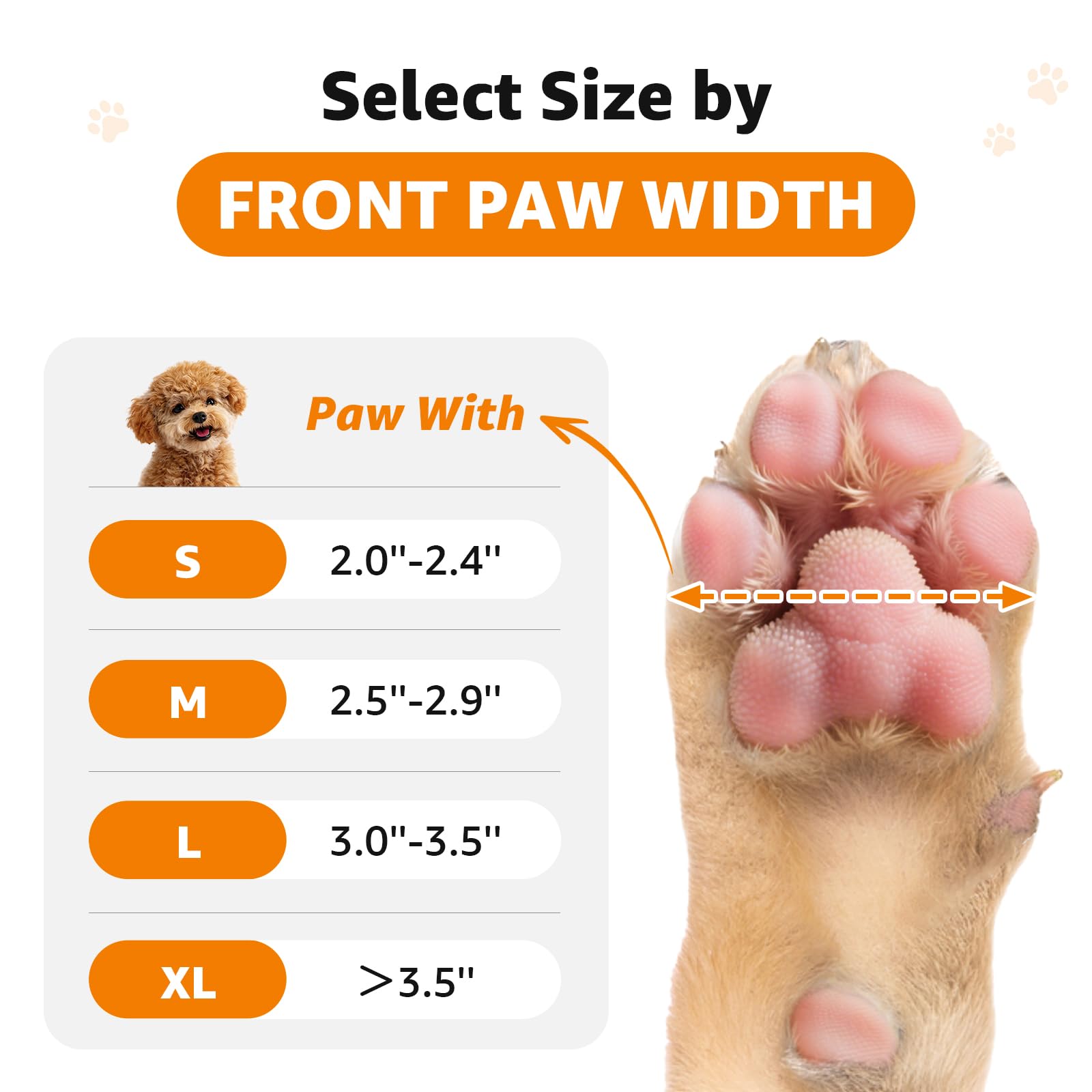 LOOBANI paw-protection-on-pavement shields paws on hot pavement days.