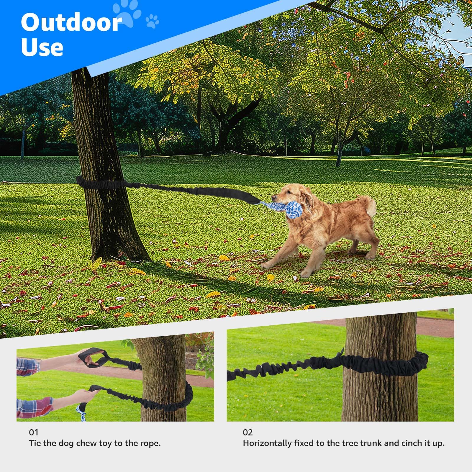 Door anchor and leash setup for easy play sessions
