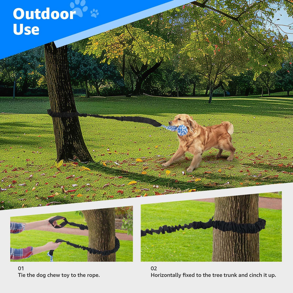 Door anchor and leash setup for easy play sessions