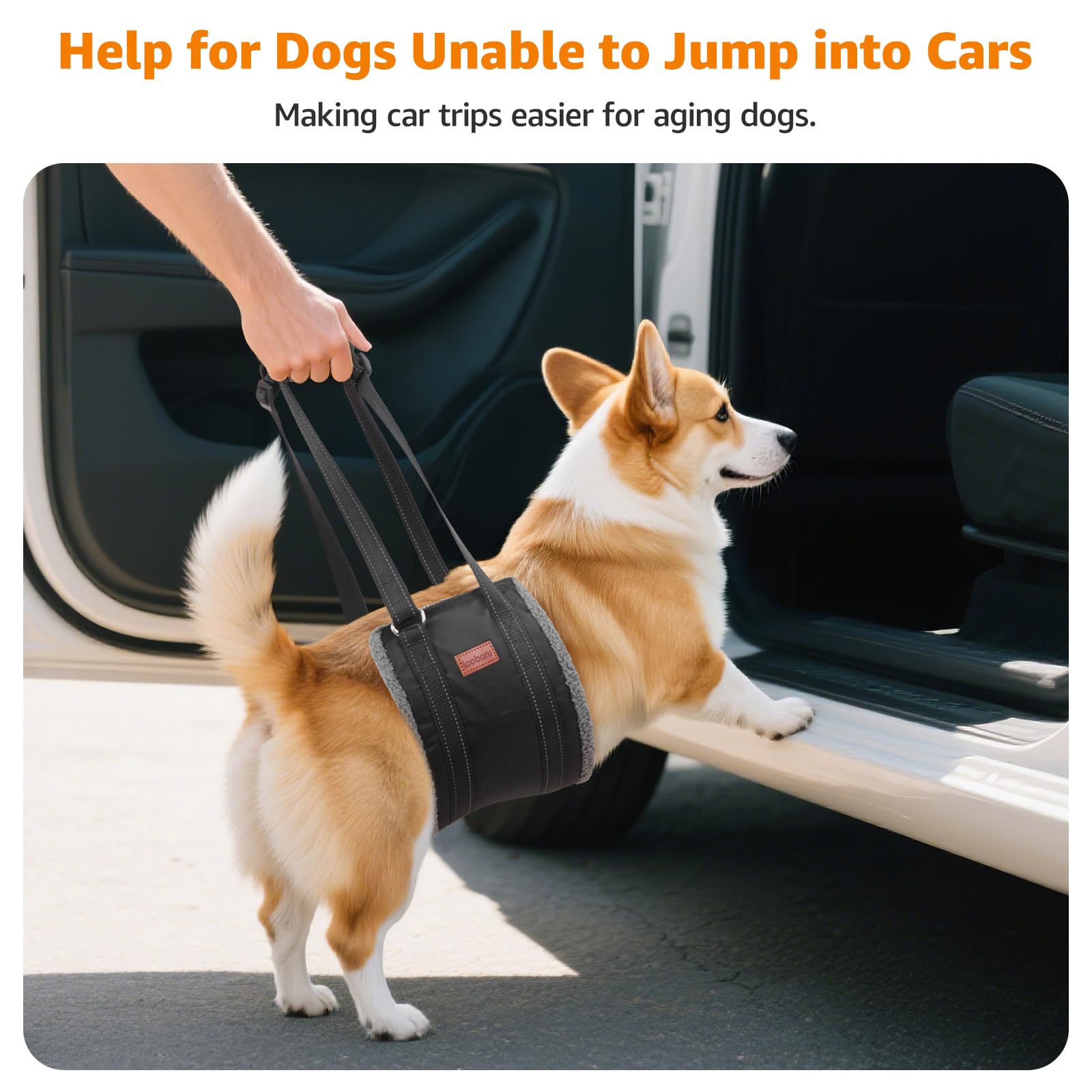 LOOBANI easy-stand sling assists gentle lifting for stairs and car entry.
