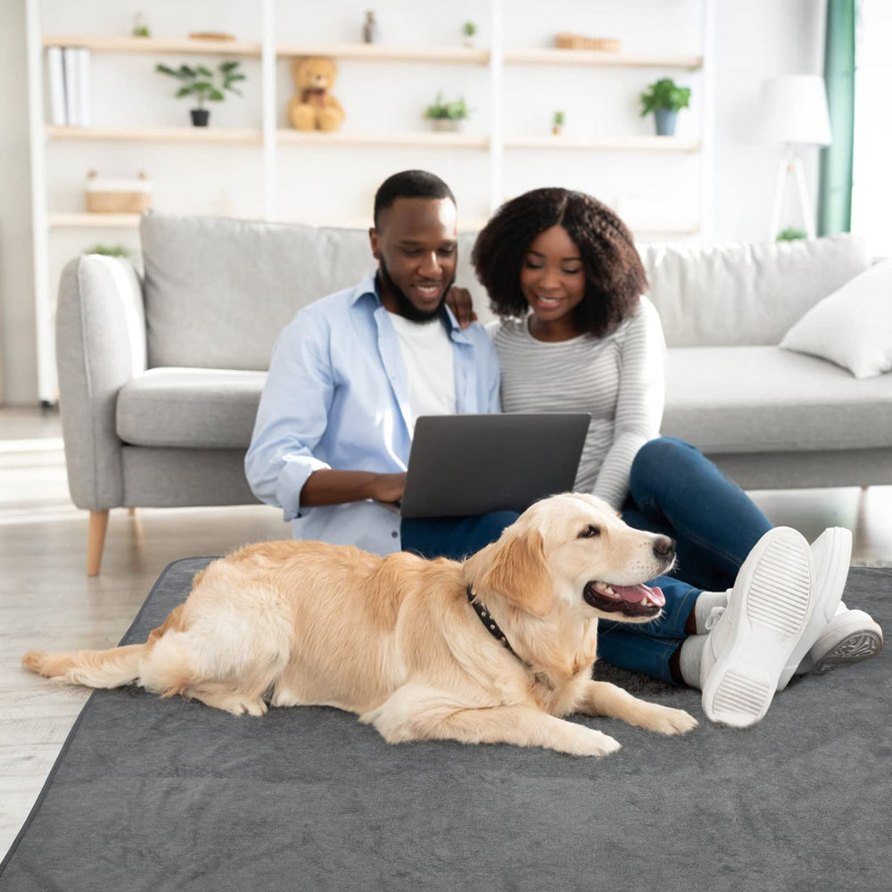 LOOBANI grip-friendly surface supports tiny paws during training