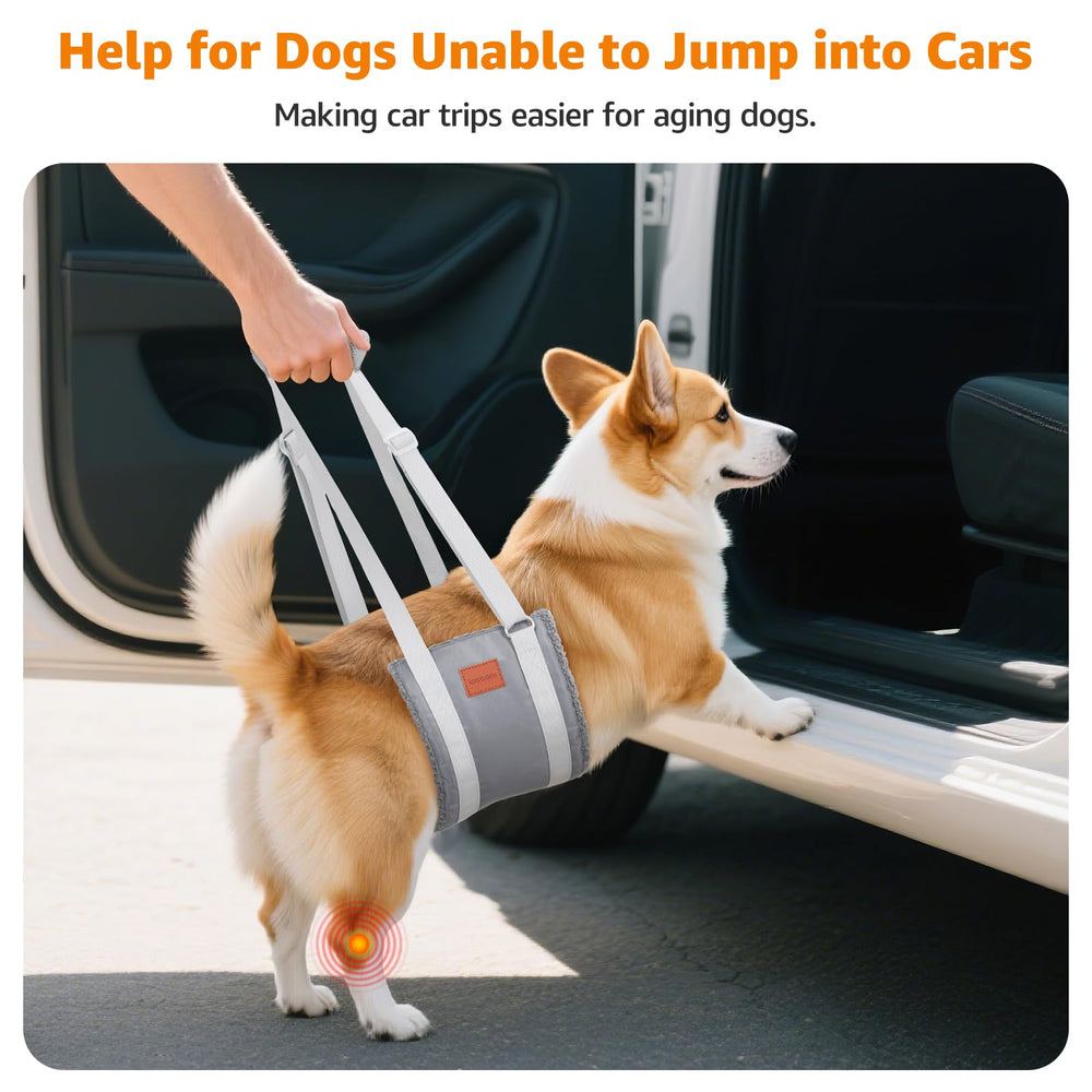 LOOBANI hip-dysplasia mobility aid supports gentle, guided movements.