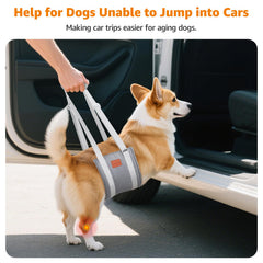 LOOBANI hip-dysplasia mobility aid supports gentle, guided movements.