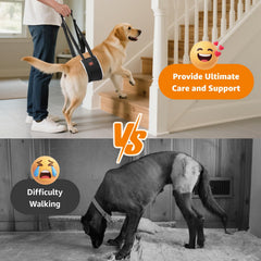 LOOBANI hip-support harness aids gentle rear lifting for easier stairs and car rides.