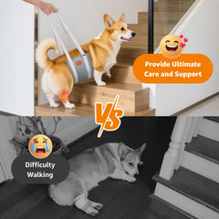 LOOBANI lift harness for dogs enables easy assistance on stairs and in cars.