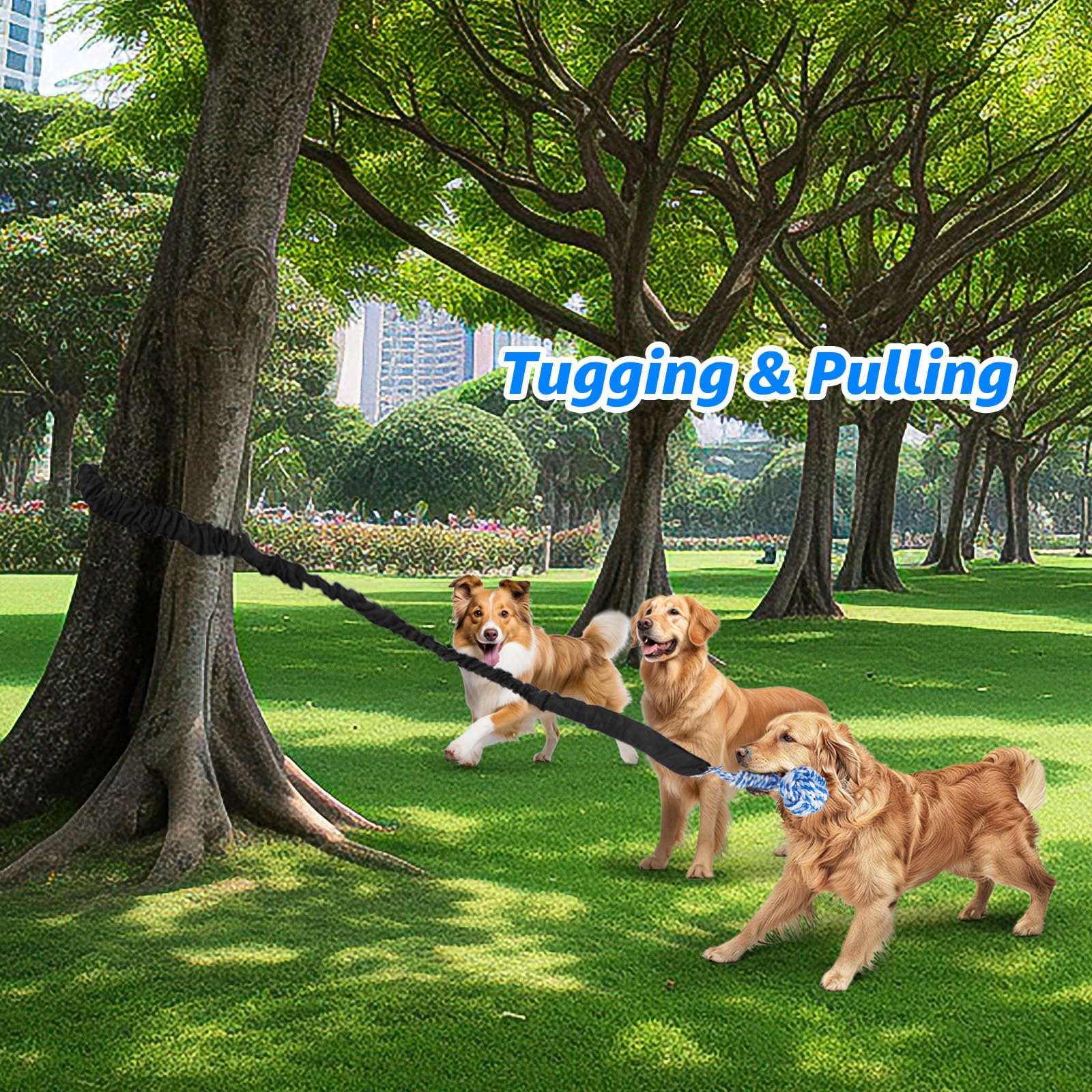 Cotton rope action that supports chewing and engagement