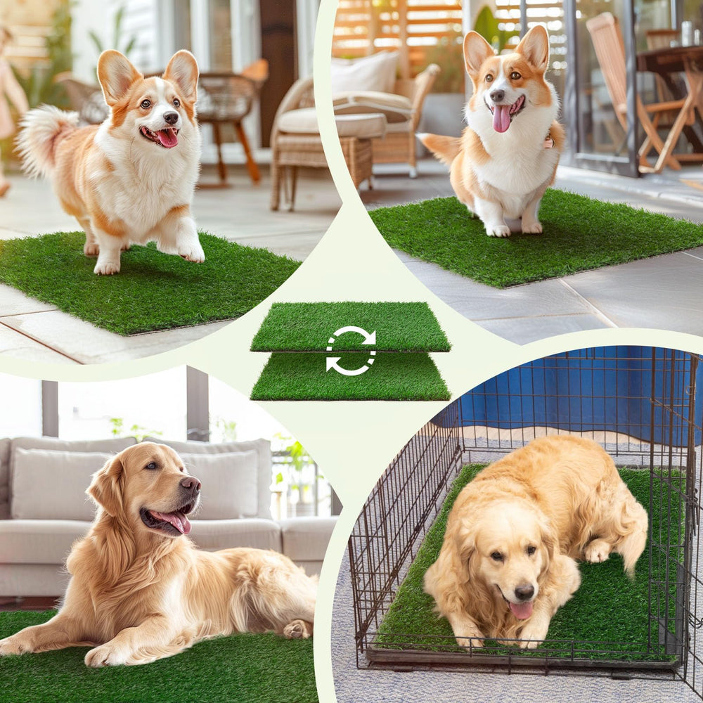 LOOBANI portable dog potty lawn solution for small spaces and apartments.