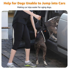 LOOBANI rear-limb lift aids senior dogs in stairs and car rides.