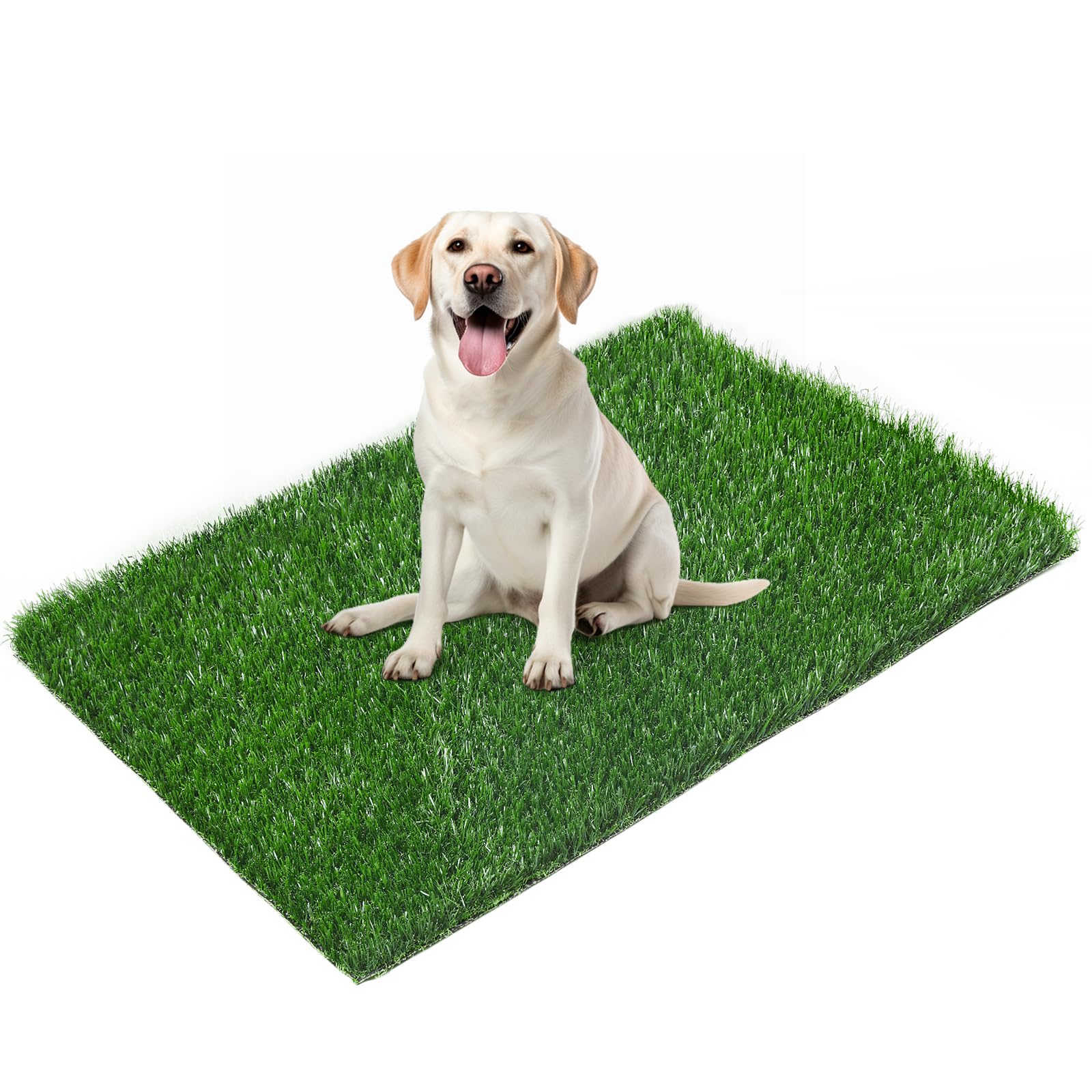 LOOBANI replacement artificial grass pad with soft blades for comfortable puppy potty