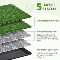 LOOBANI replacement grass patches provide durable surfaces for ongoing training.
