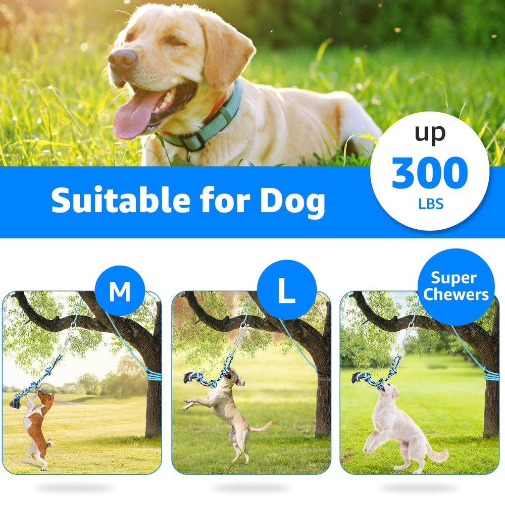 LOOBANI Spring Pole Toy family play session with an energized dog