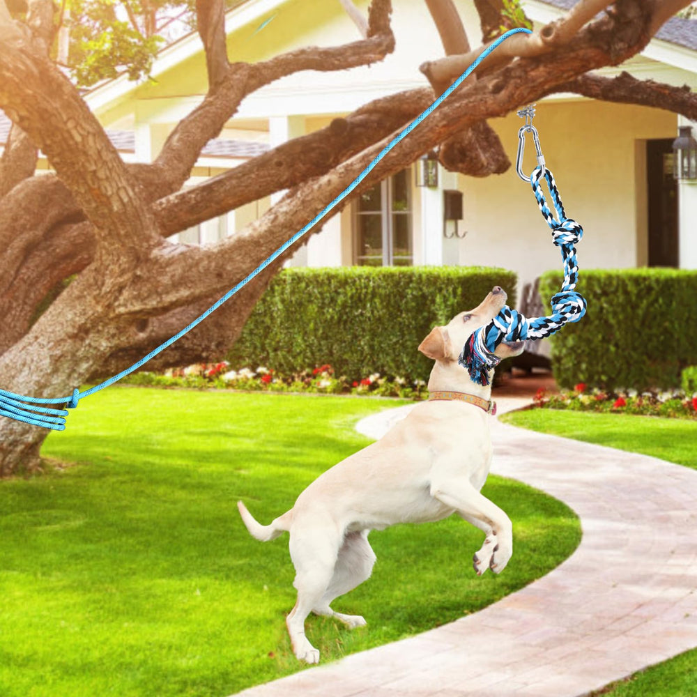 LOOBANI Spring Pole Toy pitbull exercising to build muscle and stamina