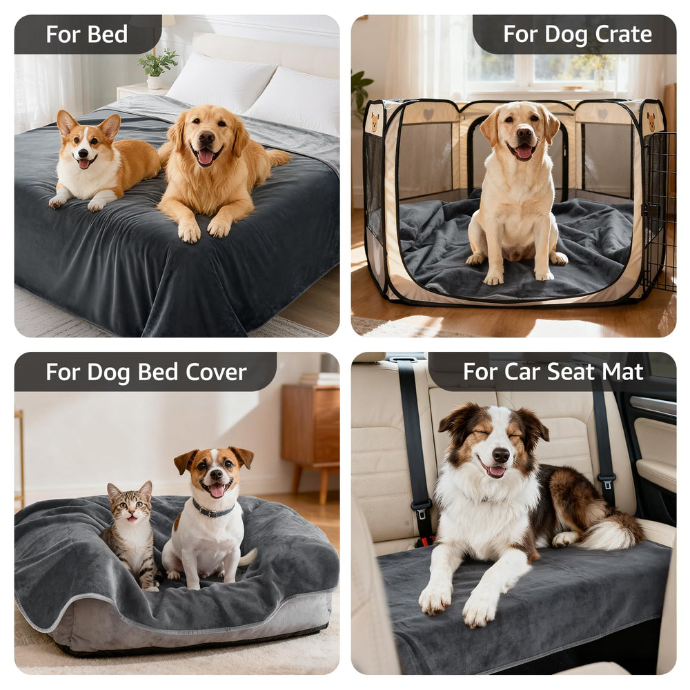LOOBANI travel picnic dog blanket ready for outdoor adventures.