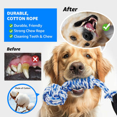 Two-pack LOOBANI dog rope toys ready for play