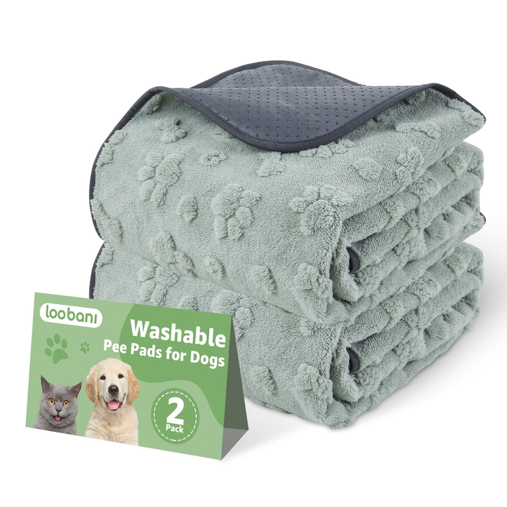LOOBANI washable dog pee pad pack 2 front view to protect floors during training